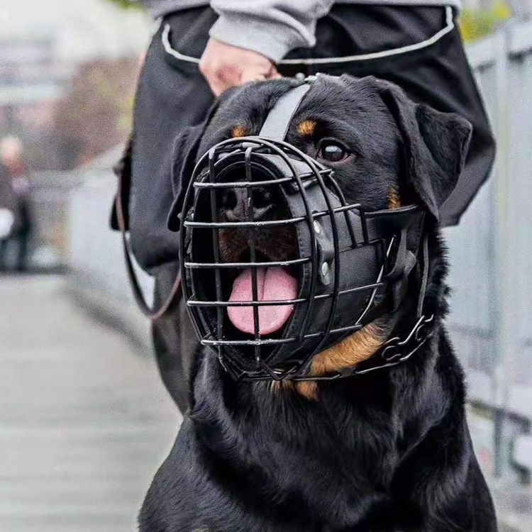 Tactical Mouth Cage Horse Dog Golden Retriever Demu Impact Muzzle